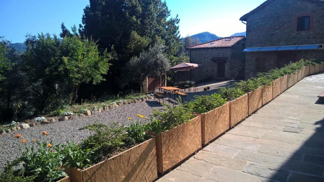 Agripodere Il Falco
