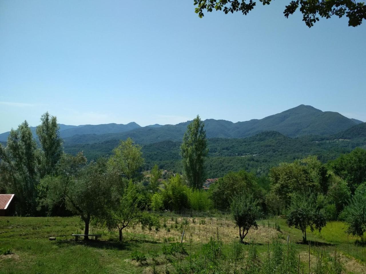 Farm stay Agripodere Il Falco *