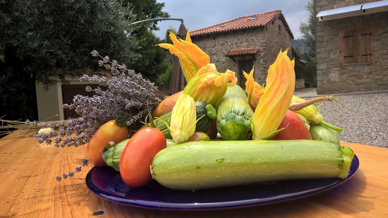 Farm stay Agripodere Il Falco *
