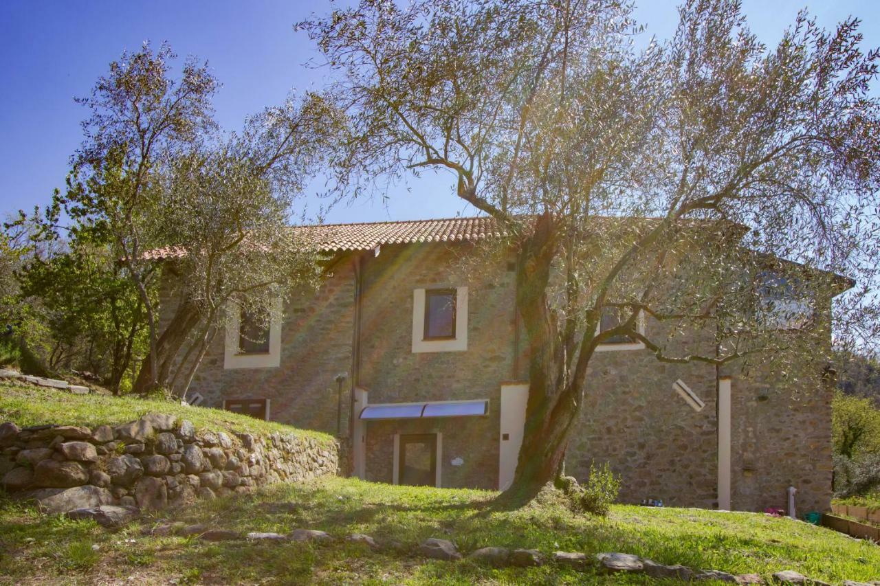 Farm stay Agripodere Il Falco *